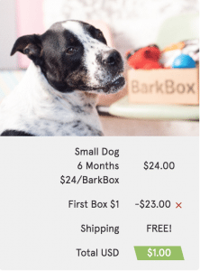 barkbox-1